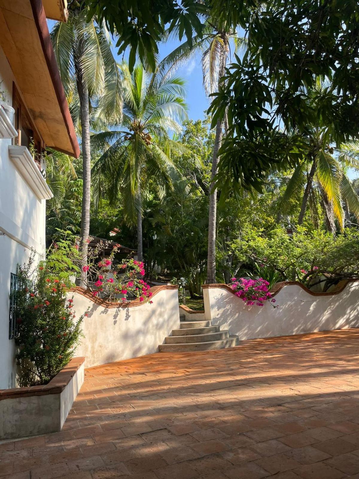 Casa Flor De Mar Hotel Zipolite Eksteriør billede