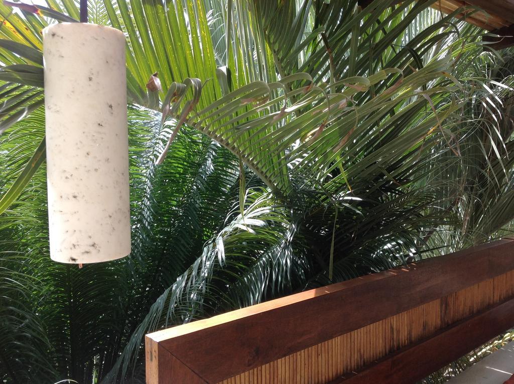 Casa Flor De Mar Hotel Zipolite Eksteriør billede
